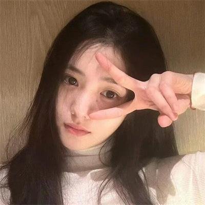 山上的松树