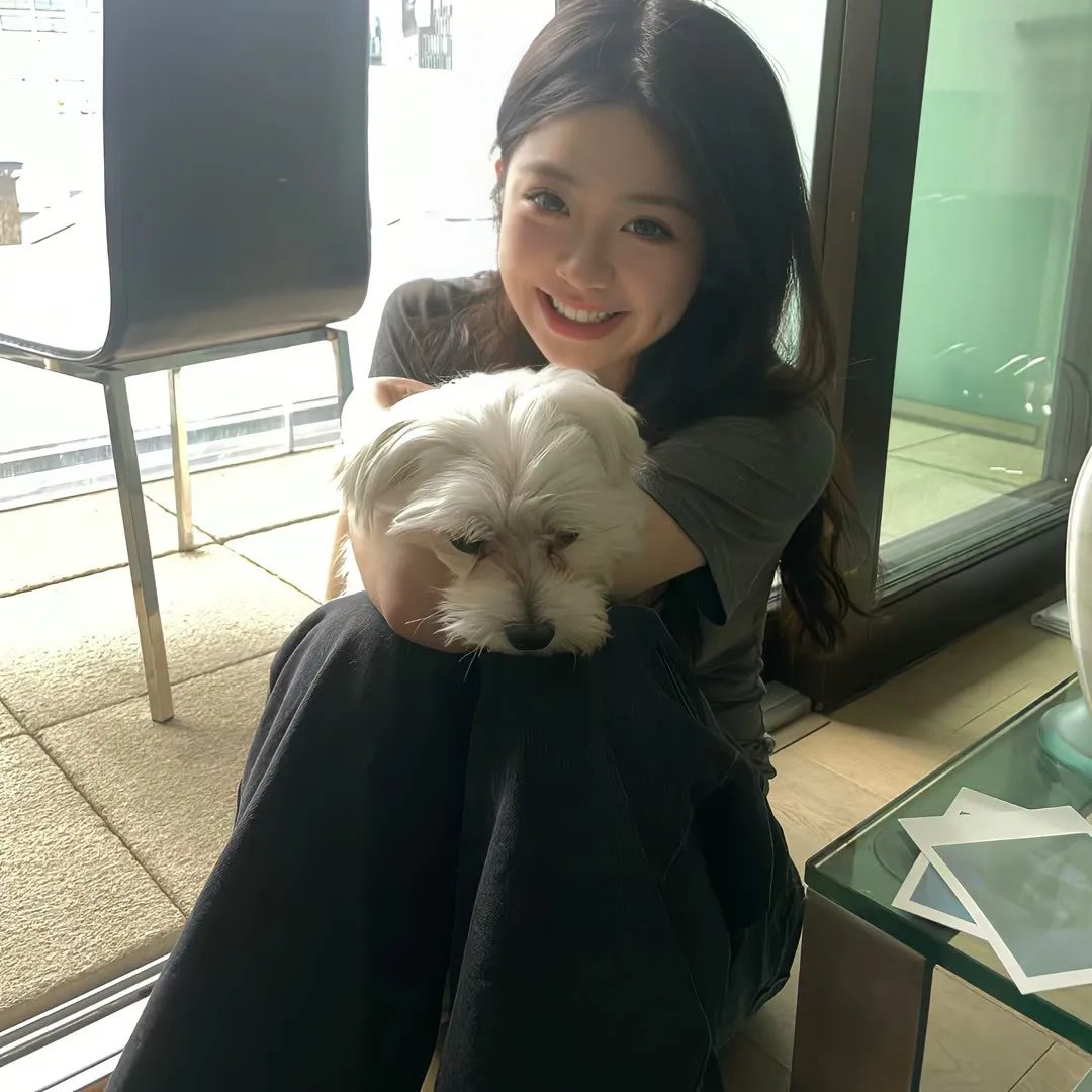 明星志愿2